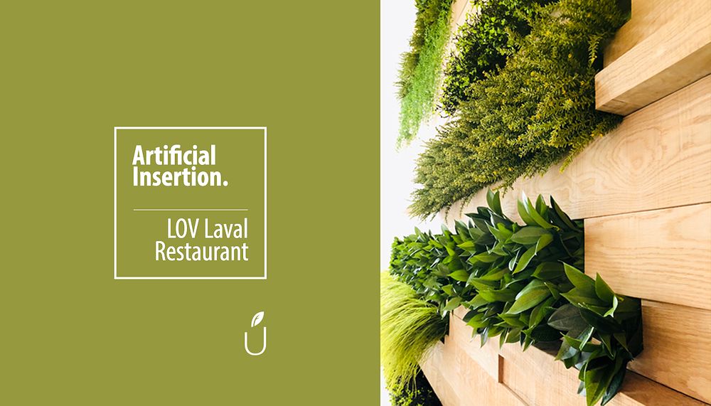 LOV Laval restaurant
